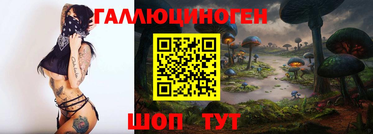 Псилоцибиновые грибы мицелий  Вход с VPN  Зеленокумск 